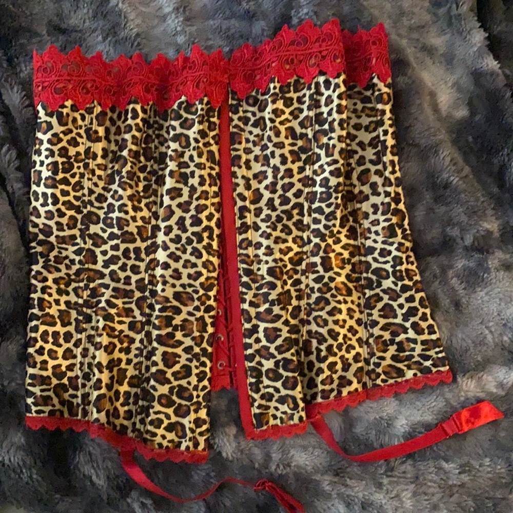 Fredericks of Hollywood corset